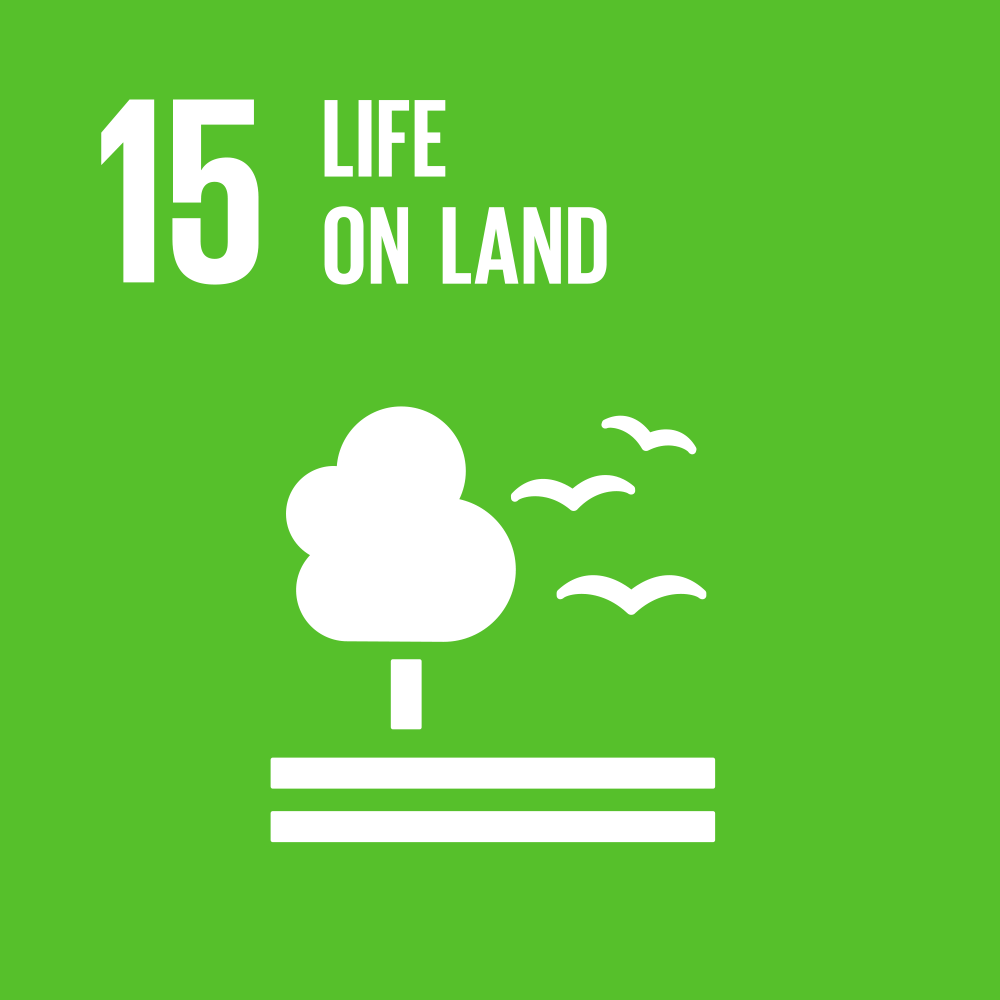 SDG 13 GIF